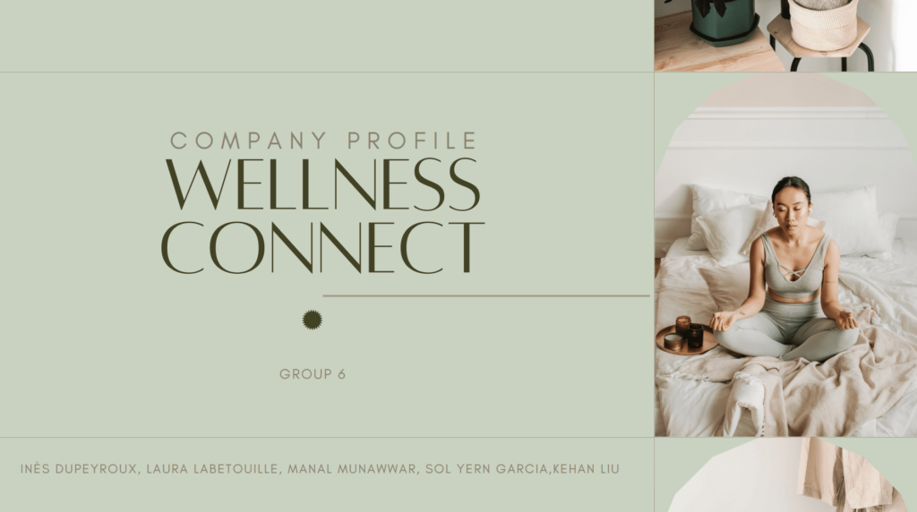 Company profile Wellnes Connect 