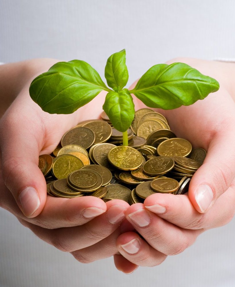 Two hands holding coins from which a plant grows, symbolizing growth and investment