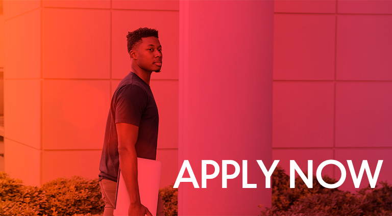 Bachelor - Apply now